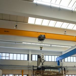�������T(m��n)��  giant gantry crane
